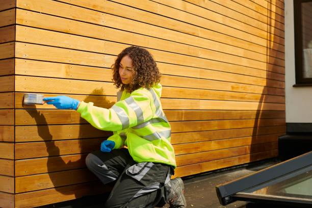 Best Custom Siding Design  in Salem, MA
